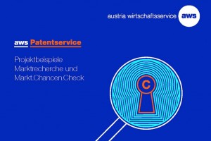 AWS Patentservice – Projektbeispiel “veoovibes”